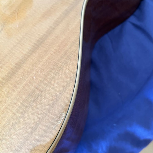 Paco Castillo 201 and Segovia classical guitars used with case and book