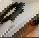  Sante αρβύλες