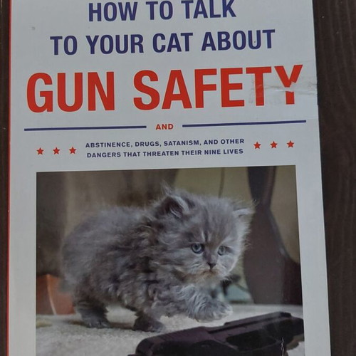 Zachary Auburn How to Talk to Your Cat About Gun Safety paperback