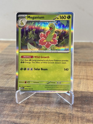 Pokemon Meganium 010/132 Holo Rare card near mint