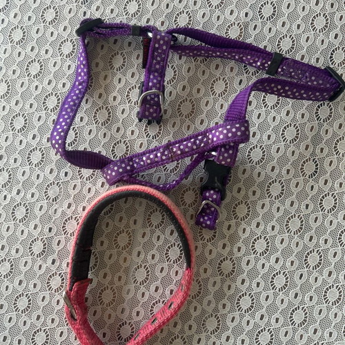 Dog muzzle, harness and collar like new