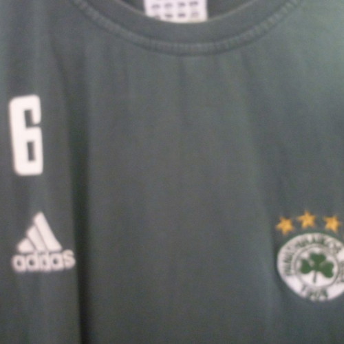 Panathinaikos basketball sleeveless training t-shirt used with embroidered logo
