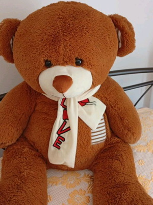 Large teddy bear like new