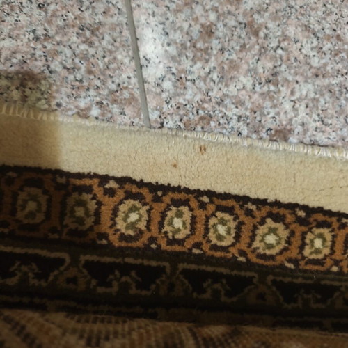 Orian Biokarpet rug like new 2x3 meters