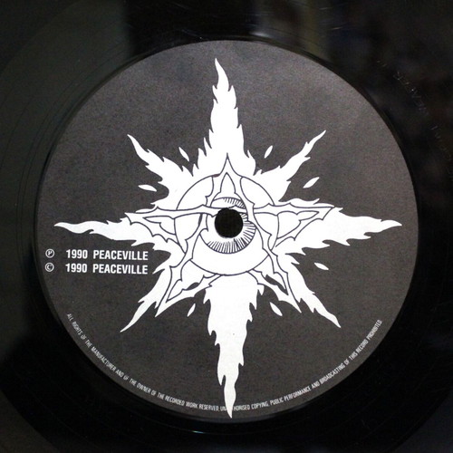 Paradise Lost Lost Paradise vinyl used, LP album