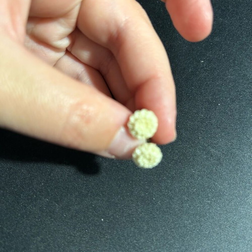 Flower earrings used