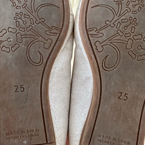 Alegria silver ballet flats size 25 like new