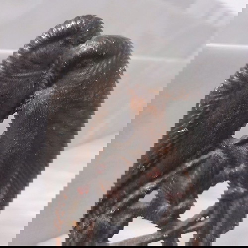 αγαλματάκι σιδερένιο παλιό