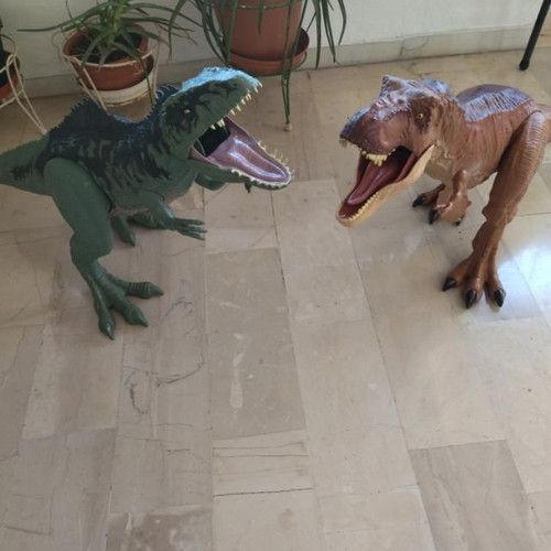 Jurassic World Mattel Dinosaur Figures used, 1 meter Tyrannosaurus and Gigantosaurus