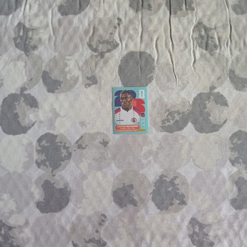 FIFA World Cup 2026 sticker HAI 12