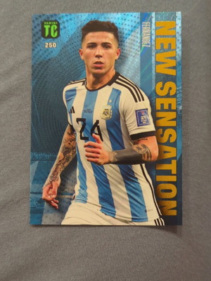 Panini Top Class Soccer Enzo Fernandes New Sensations #250 card like new