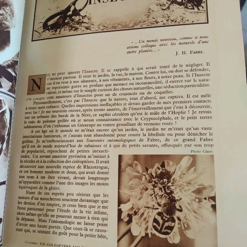 Insectes book by Jean, illustrated, 430 pages, 1950