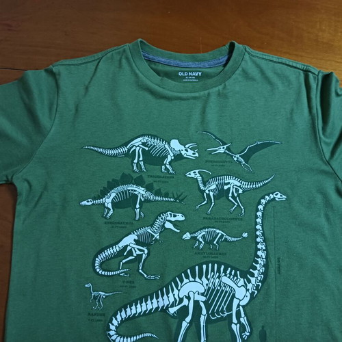 Old Navy short sleeve T-shirt for boys 14-16 used, green