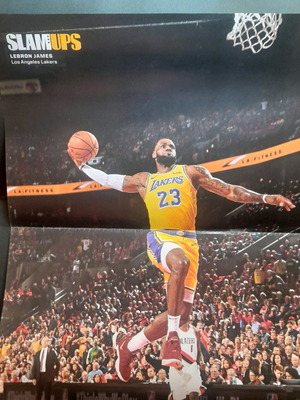 Small Lebron poster new, size 037 2017