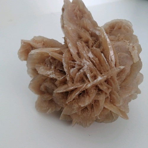 Desert rose like new natural mineral rock from Tunisia