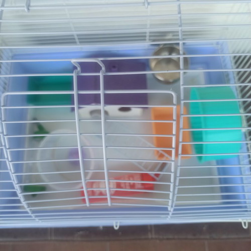 Hamster cage used, with cleaning drawer