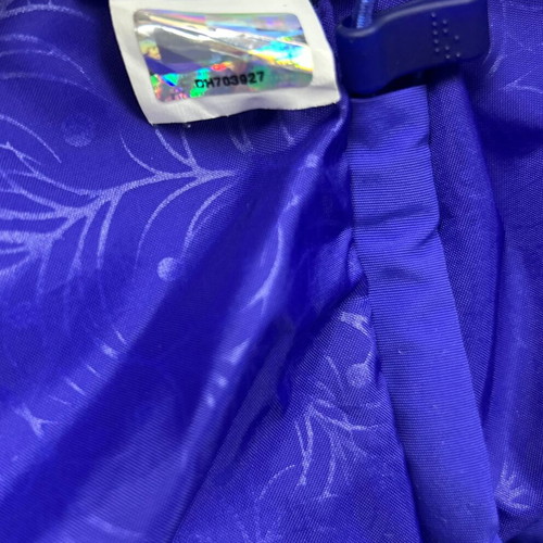 The North Face HyVent Jacket women's large blue used