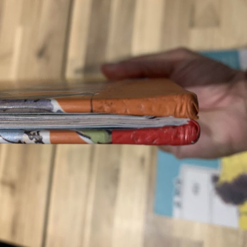 How to Hide a Lion children's books like new