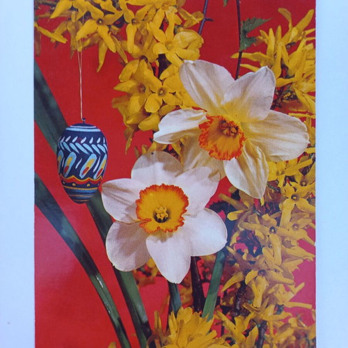 Set of 5 vintage Easter postcards new, 70's decade