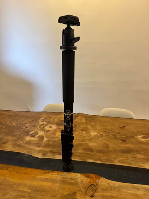 Benro A49F monopod used with head, aluminum