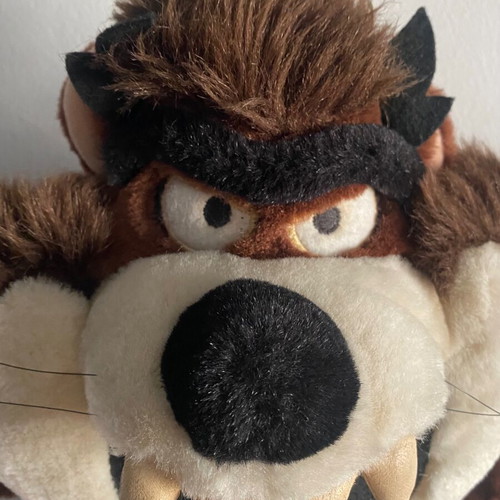 Taz Tasmanian Devil plush toy 1995 vintage used, WB Studio Store Looney Tunes