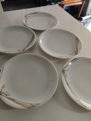 Serving Plates Set of 5 New