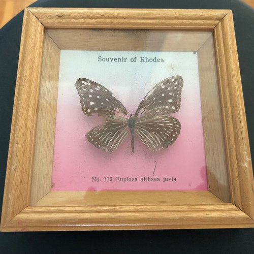 Decorative frame like new
