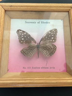 Decorative frame like new