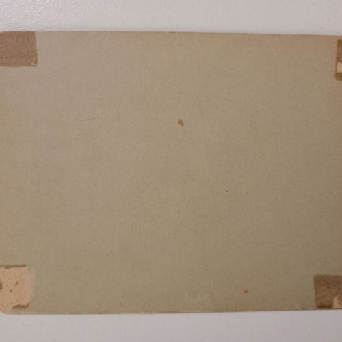 Thick cardboard photo used, small, possibly family