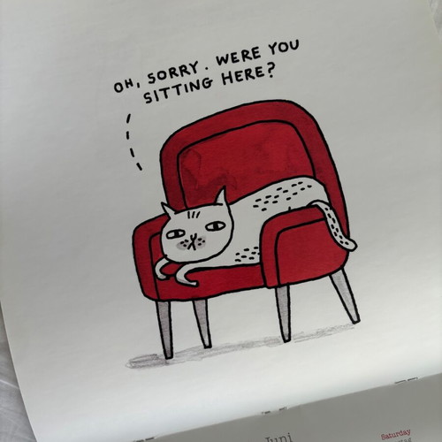 A Cat's Life 2017 Wall Calendar teNeues like new