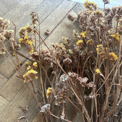 Dried flowers used