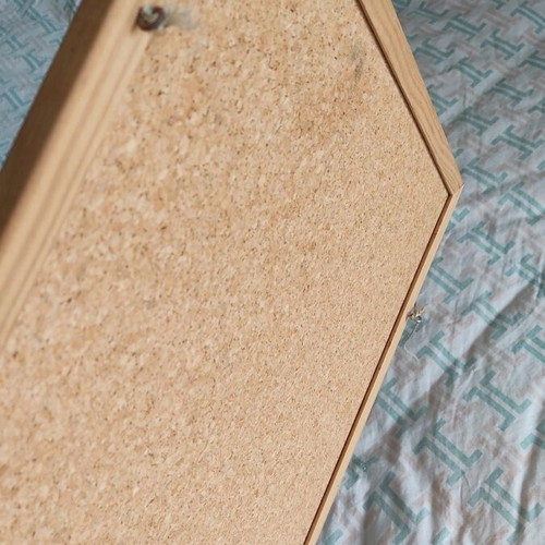 Cork boards new, set of 2 pieces 40x60