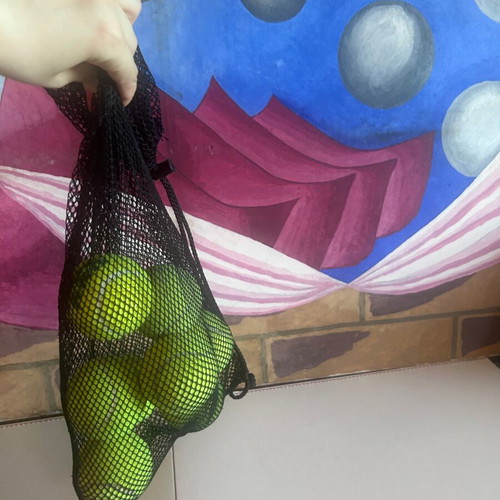 Tennis ball set of 8 with mesh carrying bag, Wilson, Head Pro, Penn
