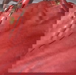  Tod's bag (τσαντα μεγαλη )