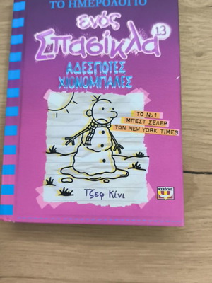 Diary of a Wimpy Kid 13 Stray Snowballs like new