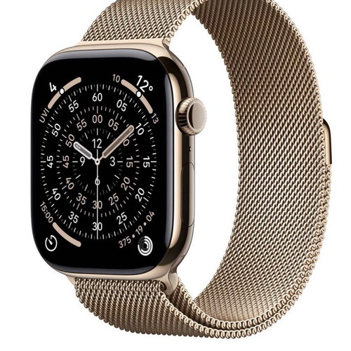 Apple Watch Titanium Gold like new