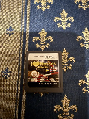 Riding Star DS game in very good condition
