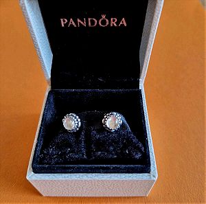 Σκουλαρίκια Pandora Ασημί 925