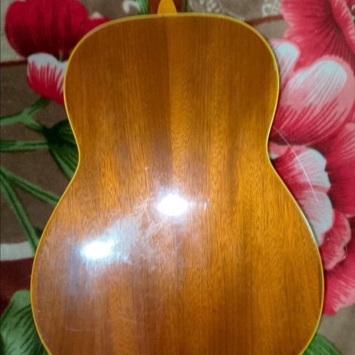 Cristal Reghin classical guitar with Ibanez soft case