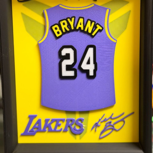 Kobe Bryant Black Mamba framed picture like new