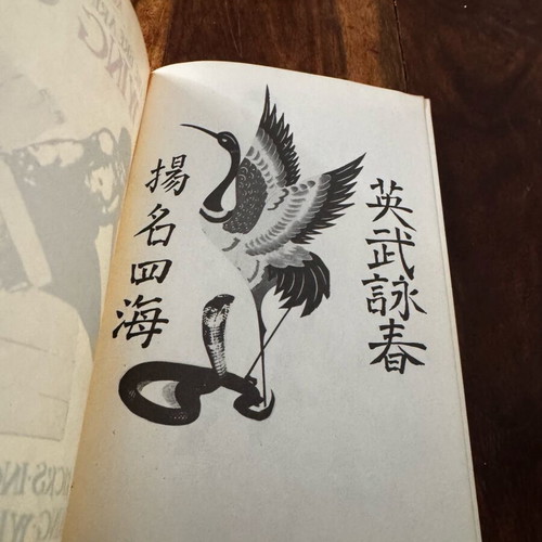 The Breaking Power of Wing Chun book used, rare