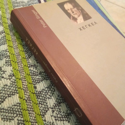 Hegel book like new, main points of the German philosopher's philosophy