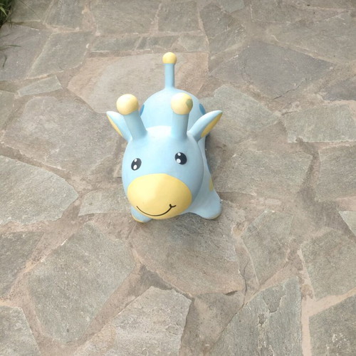 Inflatable toy used