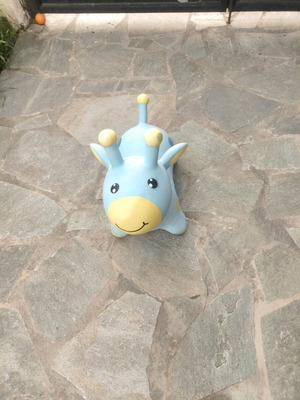 Inflatable toy used