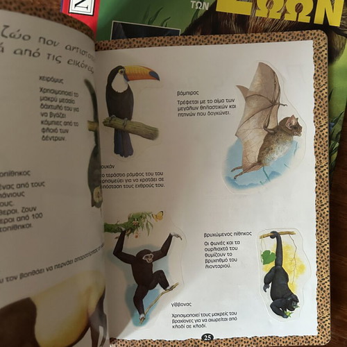Children's books about animals, set of 2