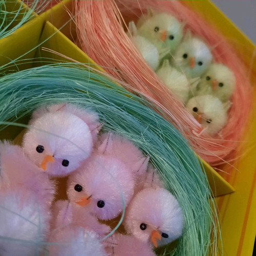 Easter set 4 nests with 6 chicks new