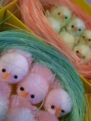 Easter set 4 nests with 6 chicks new