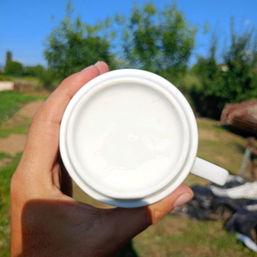 White mugs used, pack of 19, 300ml