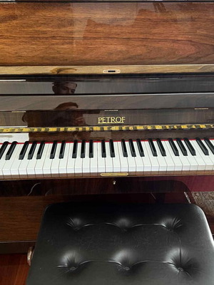 Petrof 115 WP Professional Upright Acoustic Piano used