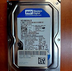 WD Blue 160 GB Desktop Hard Drive: 3.5